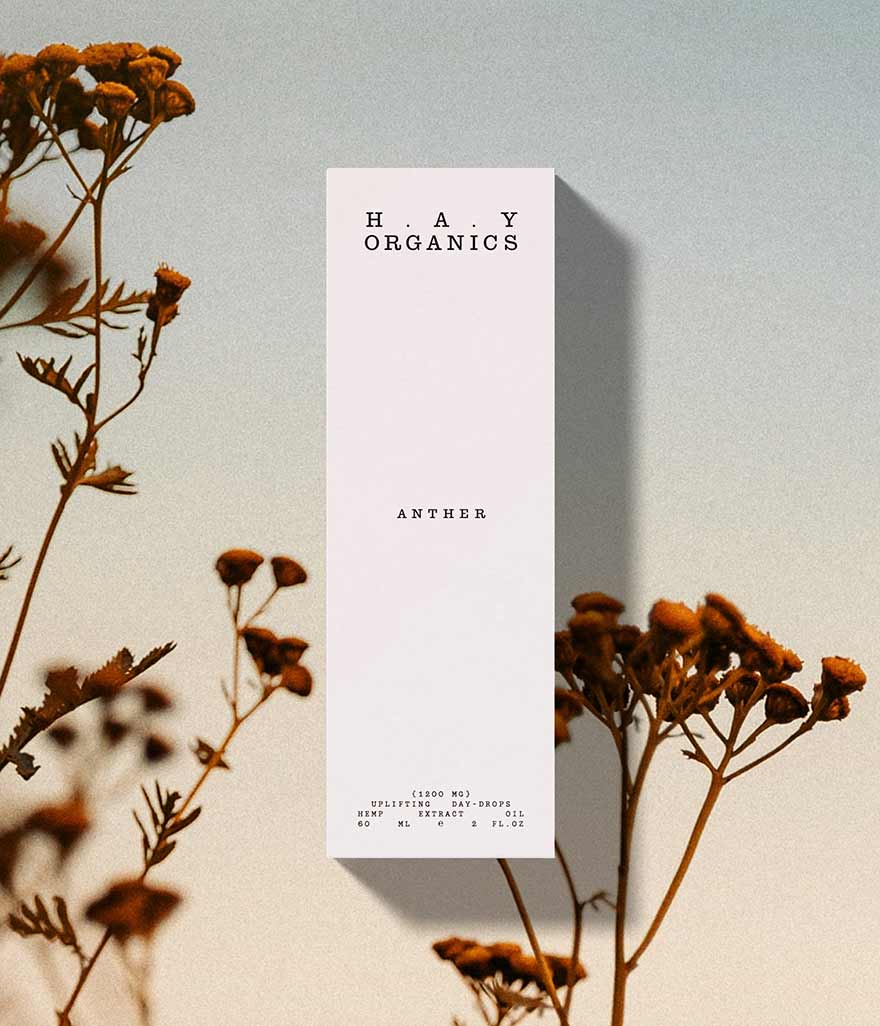 An Artland campaign poster showcasing the identity design for the brand, featuring images of works by KAWS and Frida Kahlo